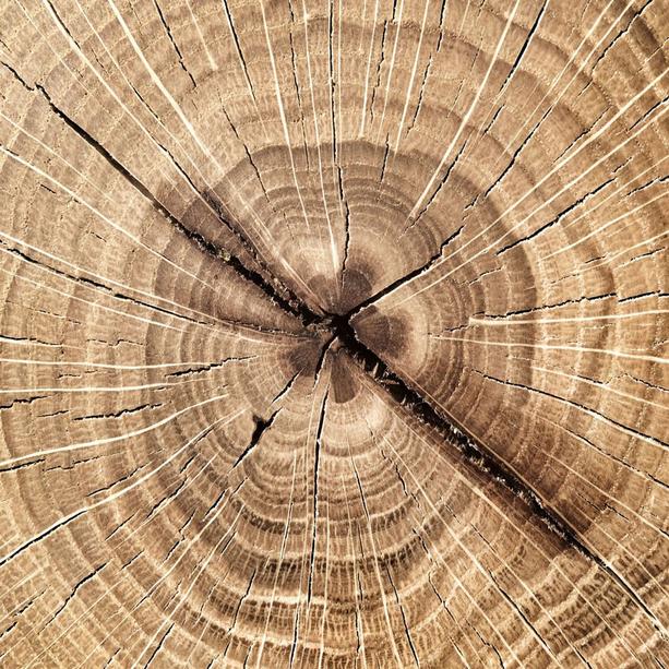 Doppelgrabstein Granit schwarz mit Holz - Carisso Legno